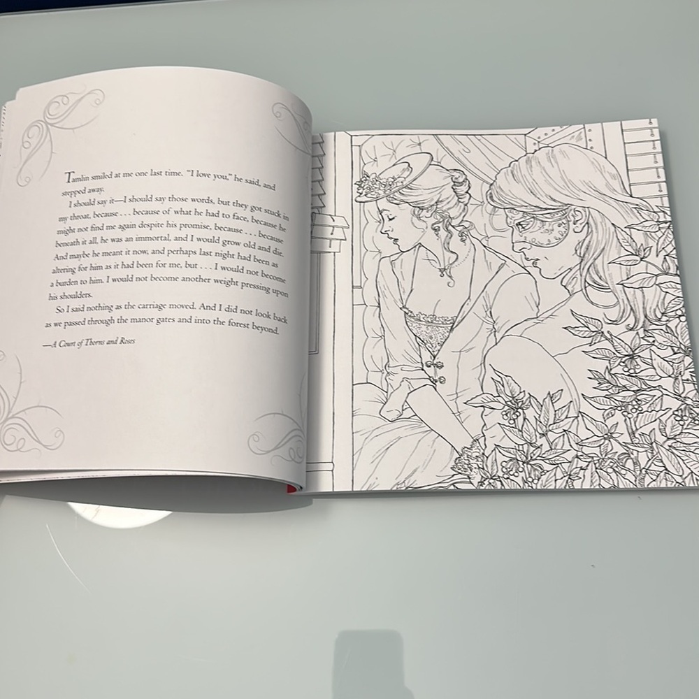 New ACOTAR Coloring Book - Picture 4 of 5
